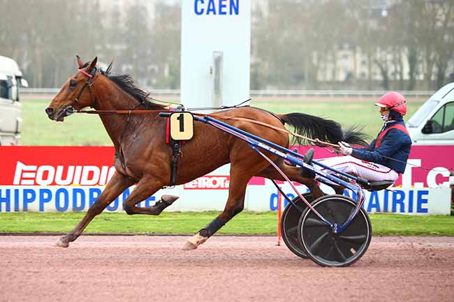 Photo d'arrivée de la course pmu PRIX DE CAUVICOURT à CAEN le Vendredi 15 mars 2019