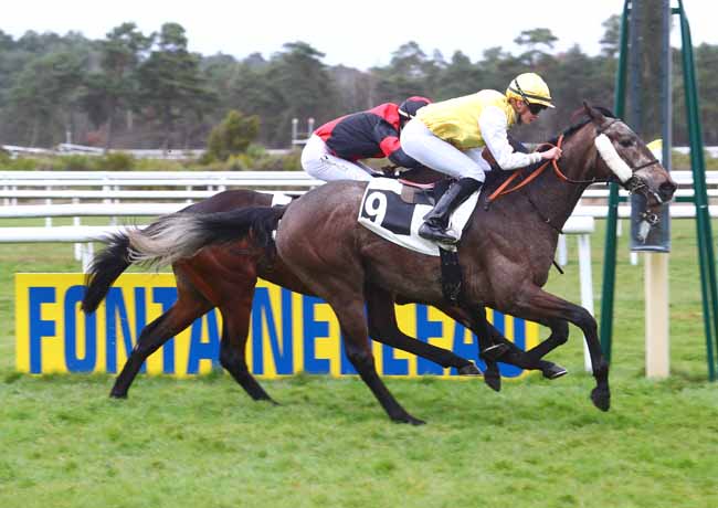 Photo d'arrivée de la course pmu PRIX DES BOULEAUX à FONTAINEBLEAU le Vendredi 15 mars 2019