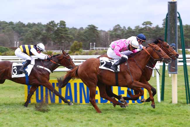 Photo d'arrivée de la course pmu PRIX DE SAMOREAU à FONTAINEBLEAU le Vendredi 15 mars 2019