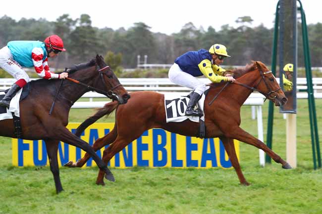 Photo d'arrivée de la course pmu PRIX DES PINS LARICIO à FONTAINEBLEAU le Vendredi 15 mars 2019