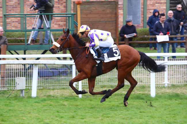 Photo d'arrivée de la course pmu PRIX DES MELEZES à FONTAINEBLEAU le Vendredi 15 mars 2019
