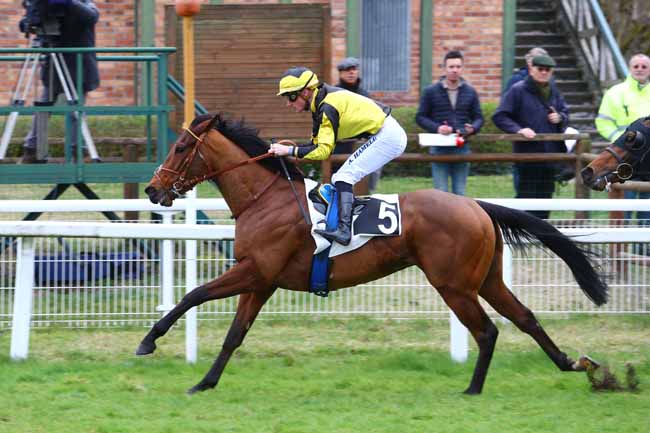 Photo d'arrivée de la course pmu PRIX DE LA MALMONTAGNE à FONTAINEBLEAU le Vendredi 15 mars 2019