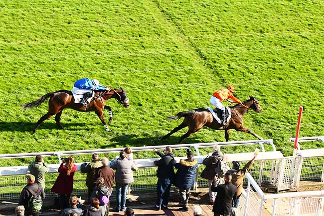 Photo d'arrivée de la course pmu PRIX PREDICATEUR à AUTEUIL le Samedi 16 mars 2019