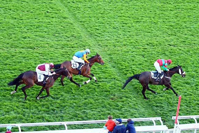 Photo d'arrivée de la course pmu PRIX LILIUM à AUTEUIL le Samedi 16 mars 2019