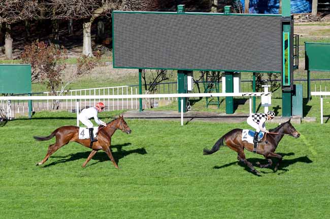 Photo d'arrivée de la course pmu PRIX LA CAMARGO à SAINT-CLOUD le Dimanche 17 mars 2019