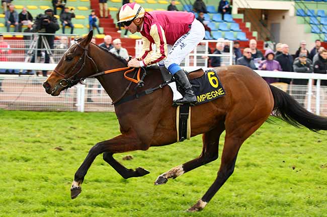 Photo d'arrivée de la course pmu PRIX DES TAMBOURAINES à COMPIEGNE le Lundi 18 mars 2019
