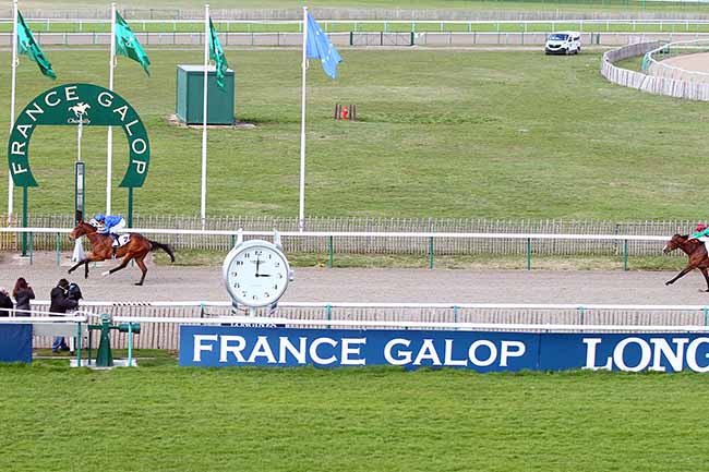 Photo d'arrivée de la course pmu PRIX DU BELVEDERE à CHANTILLY le Mardi 19 mars 2019