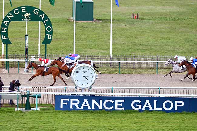 Photo d'arrivée de la course pmu PRIX DE LA PISTOLE à CHANTILLY le Mardi 19 mars 2019