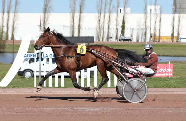 Photo d'arrivée de la course pmu PRIX PASSAGE D'AGEN à AGEN LE PASSAGE le Mercredi 20 mars 2019