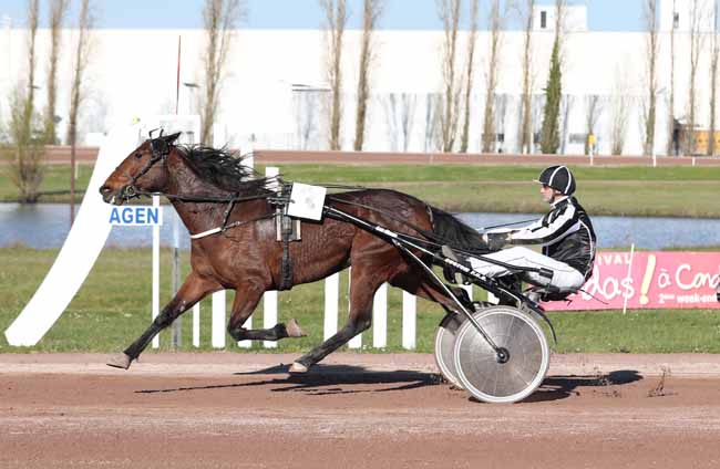 Photo d'arrivée de la course pmu PRIX DE L'AGGLOMERATION D'AGEN à AGEN LE PASSAGE le Mercredi 20 mars 2019