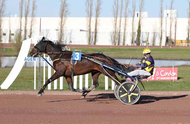 Photo d'arrivée de la course pmu GRAND PRIX DYNAVENA MAISAGRI à AGEN LE PASSAGE le Mercredi 20 mars 2019