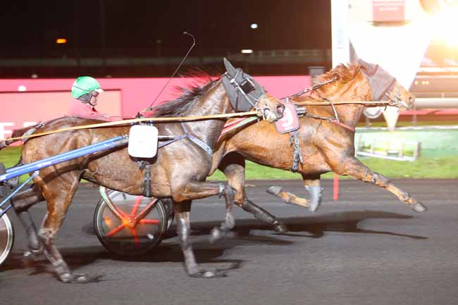 Photo d'arrivée de la course pmu PRIX ALCYONE à PARIS-VINCENNES le Vendredi 22 mars 2019