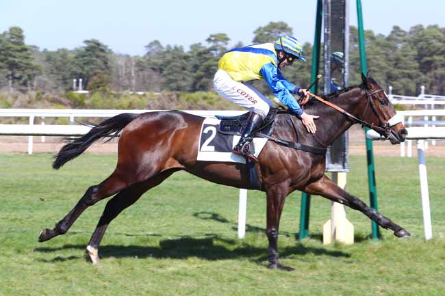 Photo d'arrivée de la course pmu PRIX DU CARREFOUR DE L'OBELISQUE à FONTAINEBLEAU le Vendredi 22 mars 2019