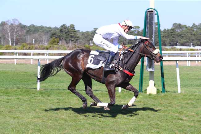 Photo d'arrivée de la course pmu PRIX DU PAVE DU ROY à FONTAINEBLEAU le Vendredi 22 mars 2019