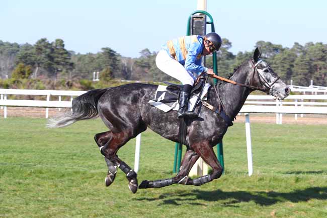 Photo d'arrivée de la course pmu PRIX DE LA SOCIETE DES COURSES DE DIEPPE à FONTAINEBLEAU le Vendredi 22 mars 2019
