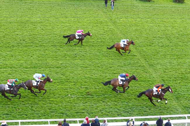 Photo d'arrivée de la course pmu PRIX ALAIN GRIMAUX à AUTEUIL le Dimanche 24 mars 2019