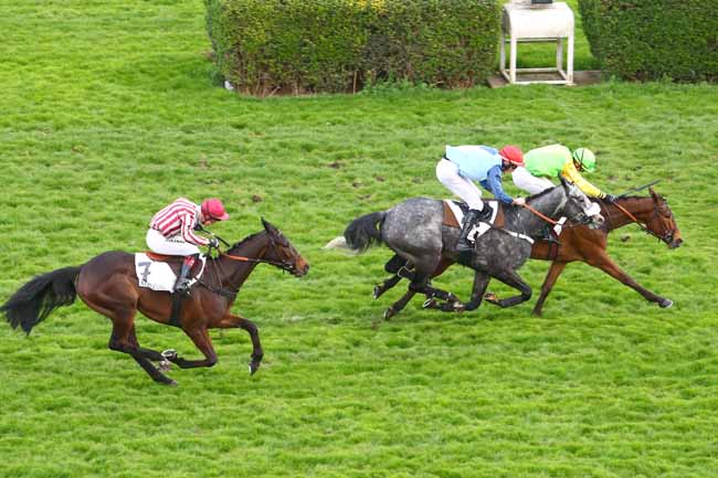 Photo d'arrivée de la course pmu PRIX MITSOUKO III à AUTEUIL le Dimanche 24 mars 2019