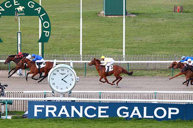 Photo d'arrivée de la course pmu PRIX DU LIEUTENANT à CHANTILLY le Lundi 25 mars 2019