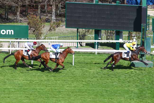 Photo d'arrivée de la course pmu PRIX COMRADE à SAINT-CLOUD le Mardi 26 mars 2019