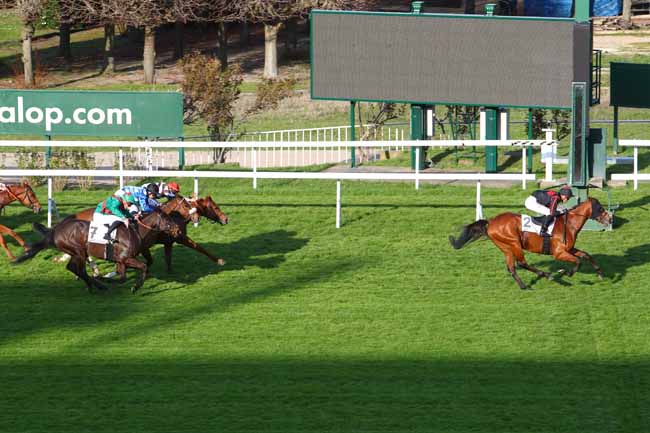 Photo d'arrivée de la course pmu PRIX DE MAUREPAS à SAINT-CLOUD le Mardi 26 mars 2019