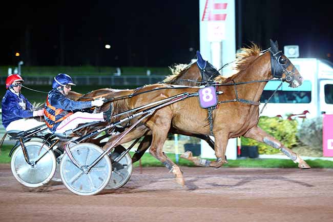Photo d'arrivée de la course pmu PRIX DU PONT DE LA CONCORDE à ENGHIEN le Mardi 26 mars 2019