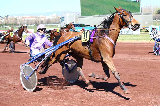 Photo d'arrivée de la course pmu GRAND NATIONAL DU TROT PARIS-TURF à MARSEILLE-BORELY le Mercredi 27 mars 2019