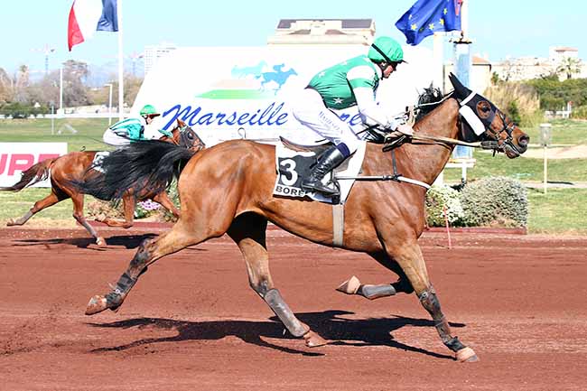 Photo d'arrivée de la course pmu PRIX DES CAVES SAINT-MARC DE CAROMB à MARSEILLE-BORELY le Mercredi 27 mars 2019
