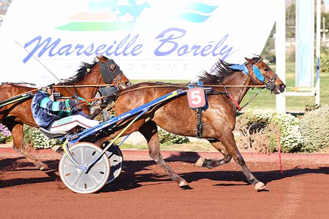 Photo d'arrivée de la course pmu PRIX DOCTEUR YVES BACHELIER à MARSEILLE-BORELY le Mercredi 27 mars 2019