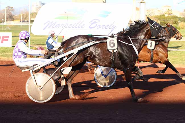 Photo d'arrivée de la course pmu PRIX DE CASSIS à MARSEILLE-BORELY le Mercredi 27 mars 2019