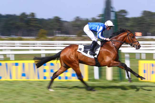Photo d'arrivée de la course pmu PRIX DE LA PLAINE DES SABLONS à FONTAINEBLEAU le Vendredi 29 mars 2019