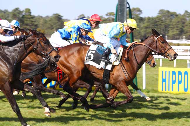 Photo d'arrivée de la course pmu PRIX DE BOIS-LE-ROI à FONTAINEBLEAU le Vendredi 29 mars 2019