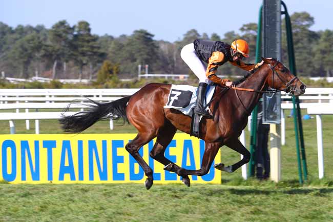 Photo d'arrivée de la course pmu PRIX DES CYPRES à FONTAINEBLEAU le Vendredi 29 mars 2019