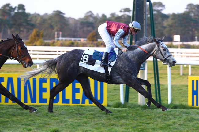 Photo d'arrivée de la course pmu PRIX DE FONTAINE-LE-PORT à FONTAINEBLEAU le Vendredi 29 mars 2019