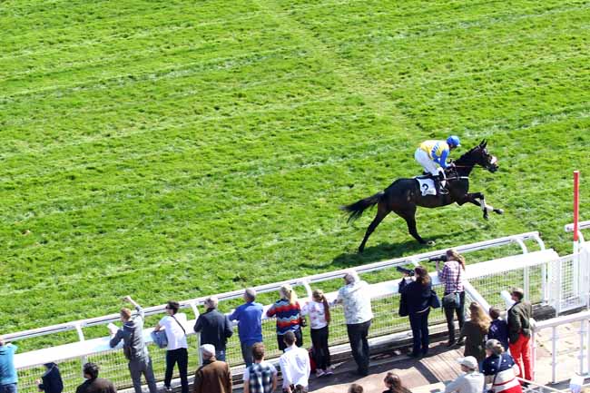 Photo d'arrivée de la course pmu PRIX ALCIDE à AUTEUIL le Dimanche 31 mars 2019