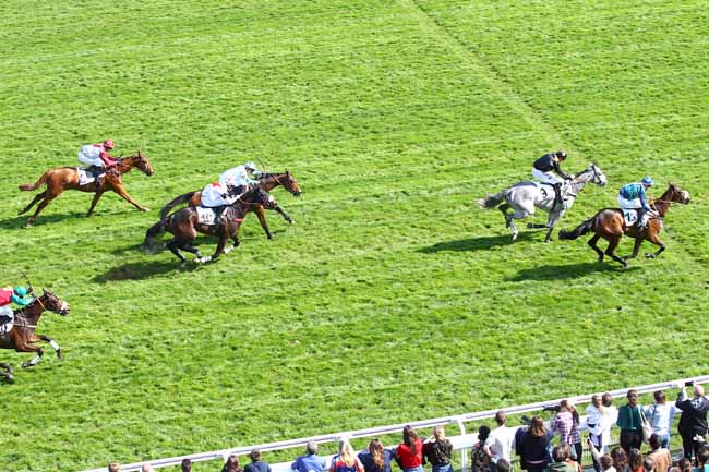 Photo d'arrivée de la course pmu PRIX GRANDAK à AUTEUIL le Dimanche 31 mars 2019
