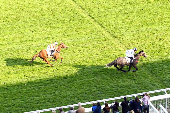 Photo d'arrivée de la course pmu PRIX GUY HUNAULT à AUTEUIL le Dimanche 31 mars 2019
