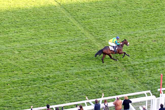 Photo d'arrivée de la course pmu PRIX KASHNIL à AUTEUIL le Dimanche 31 mars 2019