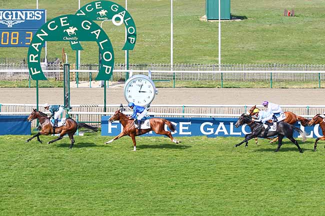 Photo d'arrivée de la course pmu PRIX DU PONT DU ROI à CHANTILLY le Lundi 1 avril 2019
