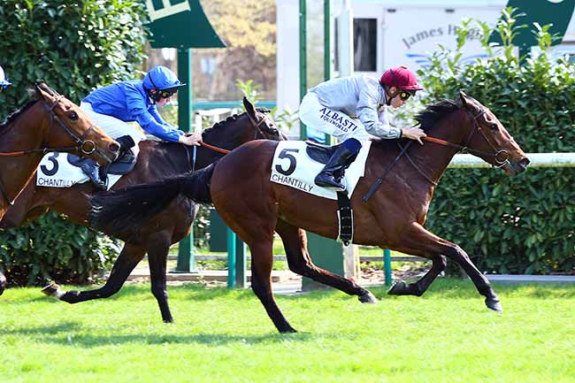 Photo d'arrivée de la course pmu PRIX DE LA BELLE CROIX à CHANTILLY le Lundi 1 avril 2019