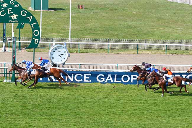 Photo d'arrivée de la course pmu PRIX RIGHT ROYAL à CHANTILLY le Lundi 1 avril 2019