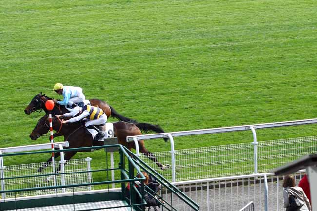 Photo d'arrivée de la course pmu PRIX ZINO à MAISONS-LAFFITTE le Mardi 2 avril 2019