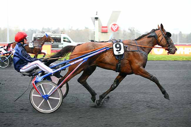 Photo d'arrivée de la course pmu PRIX OBERON à PARIS-VINCENNES le Mardi 2 avril 2019