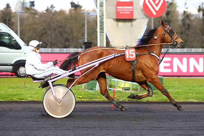 Photo d'arrivée de la course pmu PRIX ANDRE DREUX à PARIS-VINCENNES le Mardi 2 avril 2019