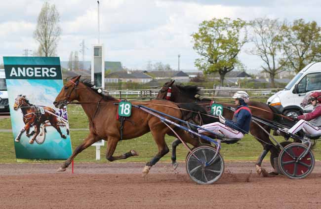 Photo d'arrivée de la course pmu GRAND PRIX ANGERS LOIRE METROPOLE à ANGERS le Mercredi 3 avril 2019
