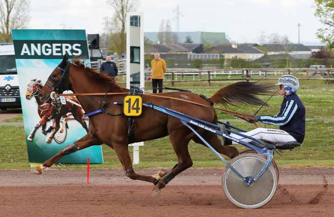 Photo d'arrivée de la course pmu PRIX TENOR DE BAUNE à ANGERS le Mercredi 3 avril 2019