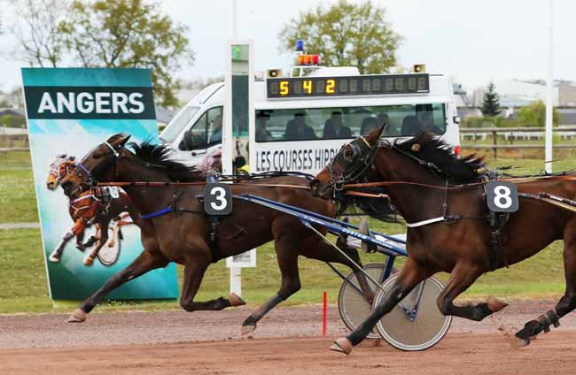 Photo d'arrivée de la course pmu PRIX GELINOTTE à ANGERS le Mercredi 3 avril 2019