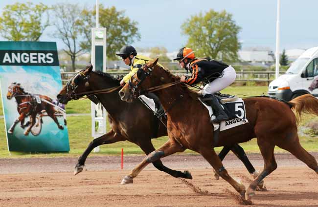 Photo d'arrivée de la course pmu PRIX NERIC BARBES à ANGERS le Mercredi 3 avril 2019
