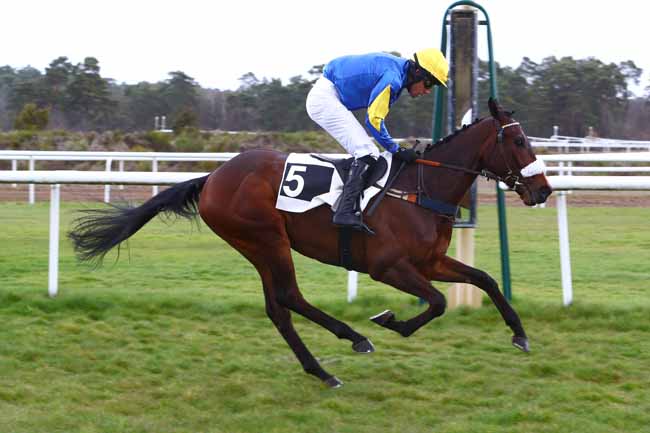 Photo d'arrivée de la course pmu PRIX QUAZVIN II à FONTAINEBLEAU le Mercredi 3 avril 2019