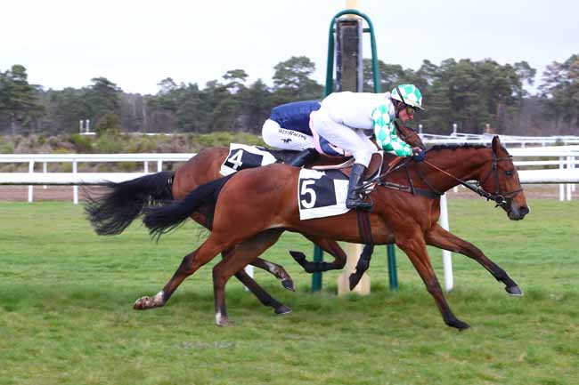Photo d'arrivée de la course pmu PRIX DE MILLY-LA-FORET à FONTAINEBLEAU le Mercredi 3 avril 2019