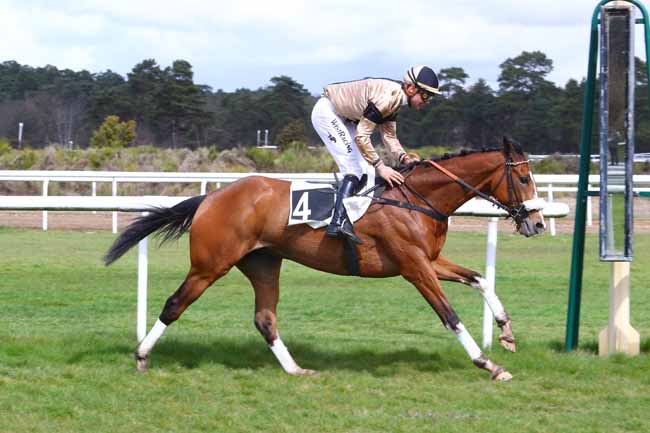 Photo d'arrivée de la course pmu GRAND STEEPLE-CHASE CROSS-COUNTRY DE FONTAINEBLEAU à FONTAINEBLEAU le Mercredi 3 avril 2019